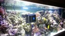 Robot pentru curatarea acvariului