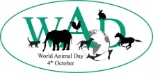 Ziua Mondiala a Animalelor