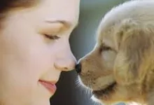 Cum sa alegi un animal de companie
