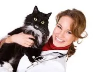 Practica veterinara