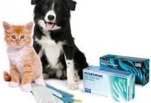 Lucruri pe care veterinarul si-ar dori sa le stii