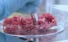 Ordinul 41 - conditiile de organizare si functionare a unitatilor farmaceutice veterinare
