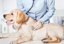 Cabinet veterinar