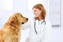 Veterinar