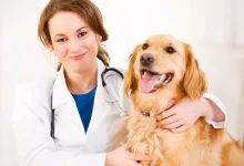 Farmacie veterinara