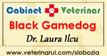 Cabinet Veterinar Black Gamedog