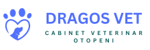 Veterinarul  Otopeni
