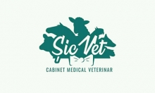SicVet Services