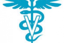 Veterinarul  Slatioara