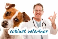 Cabinet Veterinar