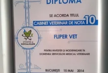 Veterinarul Cabinet Veterinar Mogosoaia