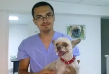 Veterinarul Cabinet Medical Veterinar Paulesti