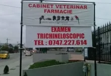 Veterinarul Cabinet Medical Veterinar Paulesti