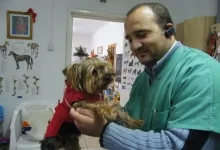 Veterinarul Cabinet Veterinar Onesti