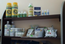 Veterinarul Cabinet Veterinar Ramnicu Sarat