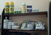 Veterinarul Cabinet Veterinar Ramnicu Sarat