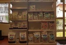 Veterinarul Cabinet Veterinar Arad AtoGold House Vet