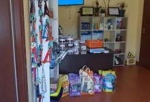 Veterinarul Cabinet Veterinar Arad AtoGold House Vet