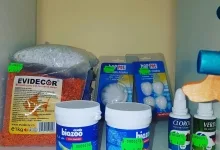 Veterinarul Cabinet Veterinar Arad AtoGold House Vet