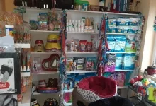 Veterinarul Cabinet Veterinar Arad AtoGold House Vet