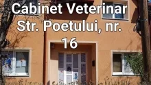 Veterinarul Cabinet Veterinar Arad AtoGold House Vet