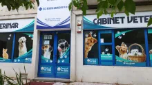 Veterinarul Cabinet Veterinar Black Gamedog