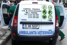 Veterinarul Cabinet Veterinar Campina