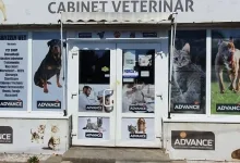 Veterinarul Cabinet Veterinar Dr. Rusu Cristinel
