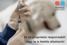 Veterinarul Cabinet Veterinar HILEDUVET Állatorvosi Rendelő
