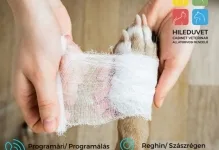 Veterinarul Cabinet Veterinar HILEDUVET Állatorvosi Rendelő