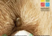 Veterinarul Cabinet Veterinar HILEDUVET Állatorvosi Rendelő