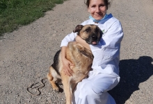 Veterinarul Cabinet Veterinar Ineu - Dr. Delia Moceanu