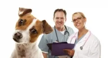 Veterinarul Cabinet Veterinar Marista