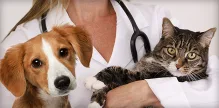 Veterinarul Cabinet Veterinar Marista