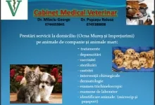 Veterinarul Cabinet Veterinar Ocna Mures
