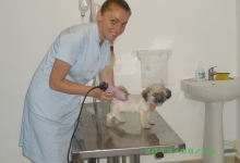 Veterinarul Cabinet Veterinar Ocna Mures