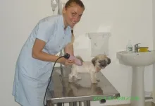 Veterinarul Cabinet Veterinar Ocna Mures