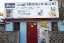 Veterinarul Cabinet Veterinar Otopeni - Dragos Vet