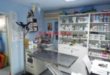 Veterinarul Cabinet Veterinar Otopeni - Dragos Vet