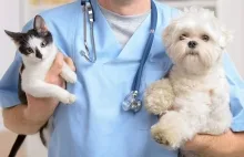 Veterinarul Cabinet Veterinar Otopeni - Dragos Vet