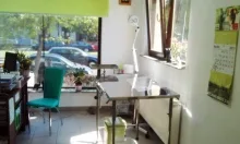 Veterinarul Cabinet Veterinar Bucuresti Sector 1 -  PRO ANIMA VET