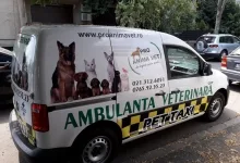 Veterinarul Cabinet Veterinar Bucuresti Sector 1 -  PRO ANIMA VET
