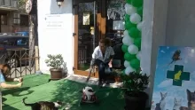 Veterinarul Cabinet Veterinar Bucuresti Sector 1 -  PRO ANIMA VET
