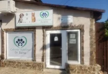 Veterinarul Cabinet Veterinar Sebis Dr. Barna