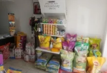 Veterinarul Cabinet Veterinar Sebis Dr. Barna