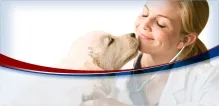 Veterinarul Cabinet Veterinar ServiVet