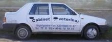 Veterinarul Cabinet Veterinar Veterra