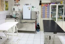 Veterinarul Cabinet Veterinar Veterra
