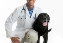 Veterinarul Clinica veterinara Targu Mures