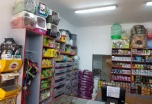 Veterinarul Cabinet veterinar Sunvet